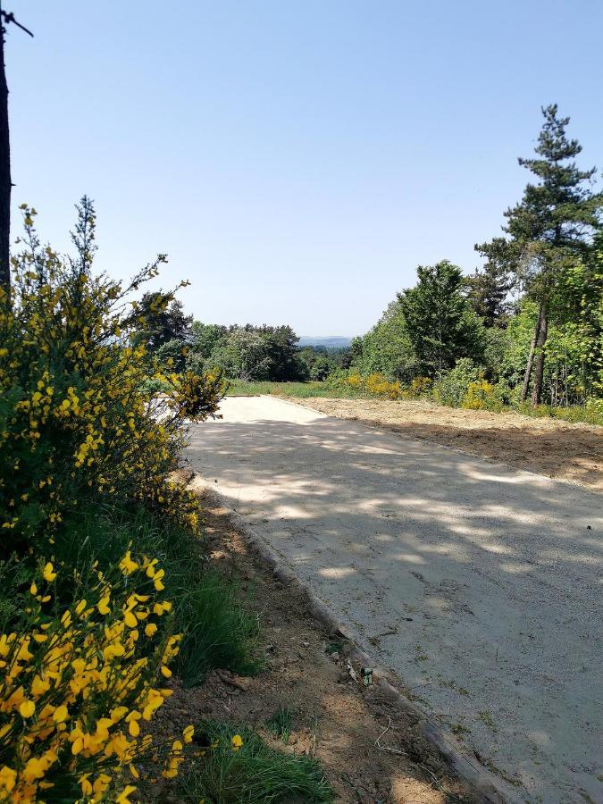 הוילה Saint-Agrève Chez Marius מראה חיצוני תמונה